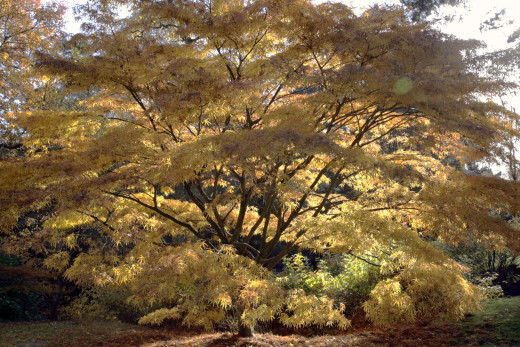 795180 (a): :1920x1280